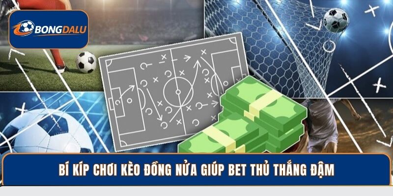 Bí kíp chơi kèo đồng nửa giúp bet thủ thắng đậm