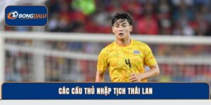 Cập Nhật Thông Tin Các Cầu Thủ Nhập Tịch Thái Lan Mới 2026