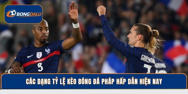 Các dạng tỷ lệ kèo bóng đá Pháp hấp dẫn hiện nay