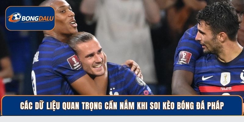 Các dữ liệu quan trọng cần nắm khi soi kèo bóng đá Pháp