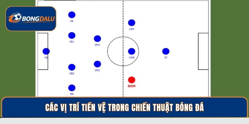 Các vị trí tiền vệ trong chiến thuật bóng đá