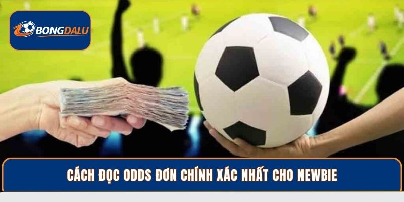 Cách đọc Odds đơn chính xác nhất cho newbie