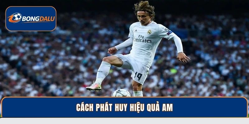 Cách phát huy hiệu quả am