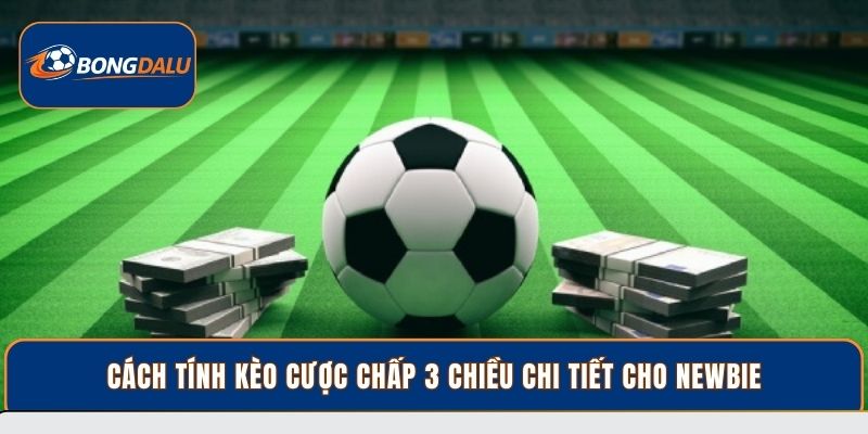 Cách tính kèo cược chấp 3 chiều chi tiết cho newbie
