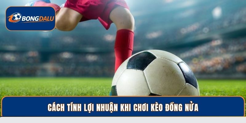 Cách tính lợi nhuận khi chơi kèo đồng nửa