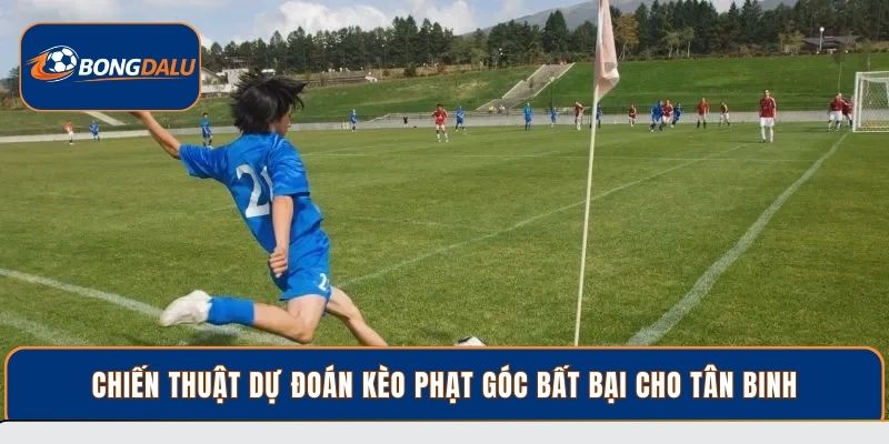 Chiến thuật dự đoán kèo phạt góc bất bại cho tân binh