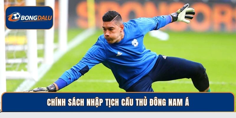 Tìm Hiểu Chính Sách Nhập Tịch Cầu Thủ Đông Nam Á Hiện Nay