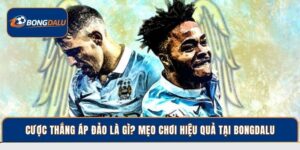 Cược Thắng Áp Đảo Là Gì? Mẹo Chơi Hiệu Quả Tại Bongdalu