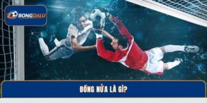 Đồng Nửa Là Gì? Bí Kíp Đổi Đời Cho Cược Thủ Tại Bongdalu