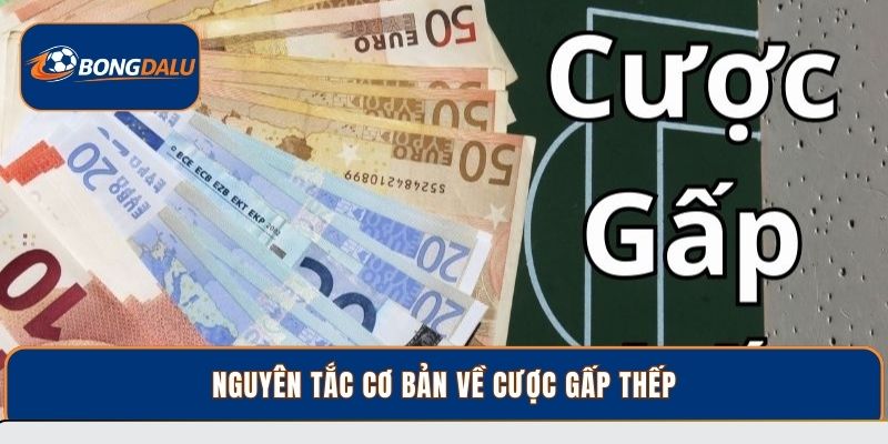 Nguyên tắc cơ bản về cược gấp thếp