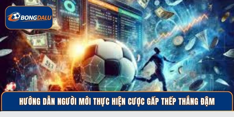 Hướng dẫn người mới thực hiện cược gấp thếp thắng đậm