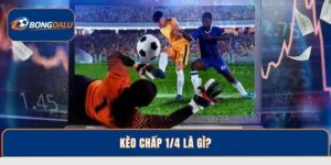 Kèo chấp 1/4 Là Gì? Chiến Thuật Chơi Thông Minh Tại Bongdalu