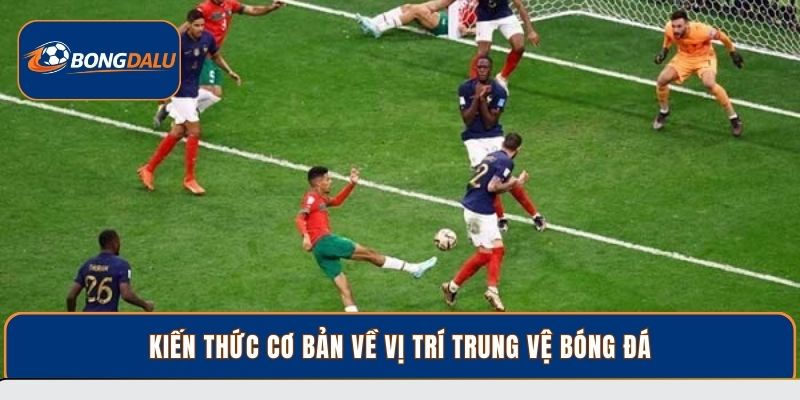 Kiến thức cơ bản về vị trí trung vệ bóng đá