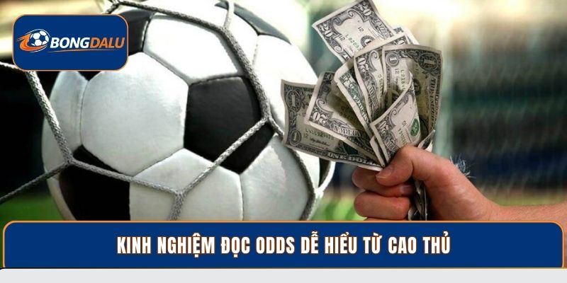 Kinh nghiệm đọc Odds dễ hiểu từ cao thủ