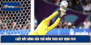 Luật Bắt Bóng Của Thủ Môn Theo Quy Định FIFA