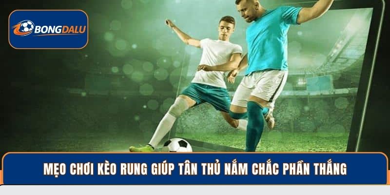 Mẹo chơi kèo rung giúp tân thủ nắm chắc phần thắng