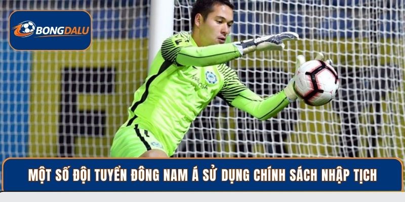 Một số đội tuyển Đông Nam Á sử dụng chính sách nhập tịch