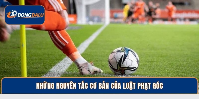 Những nguyên tắc cơ bản của luật phạt góc