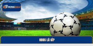 Odds Là Gì? Cách Đọc Kèo Đơn Giản Hiệu Quả Tại Bongdalu