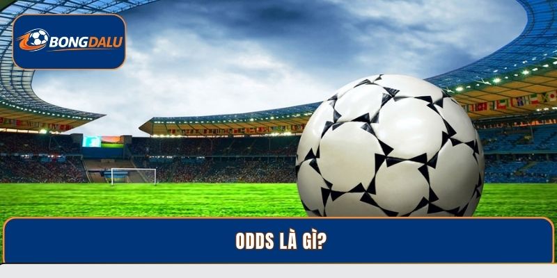 Odds Là Gì? Cách Đọc Kèo Đơn Giản Hiệu Quả Tại Bongdalu