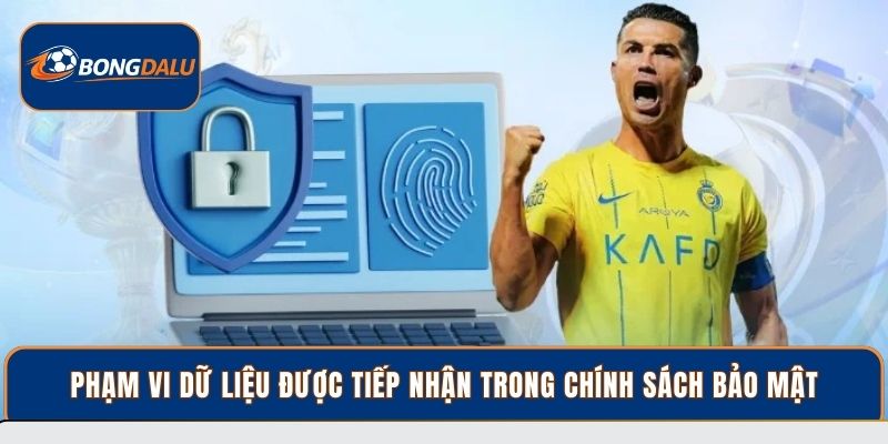 Phạm vi dữ liệu được tiếp nhận trong chính sách bảo mật
