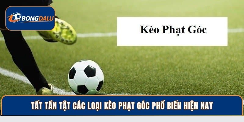 Tất tần tật các loại kèo phạt góc phổ biến hiện nay