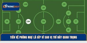 Tiền Vệ Phòng Ngự Là Gì? Vì Sao Đội Bóng Cần Vị Trí Này