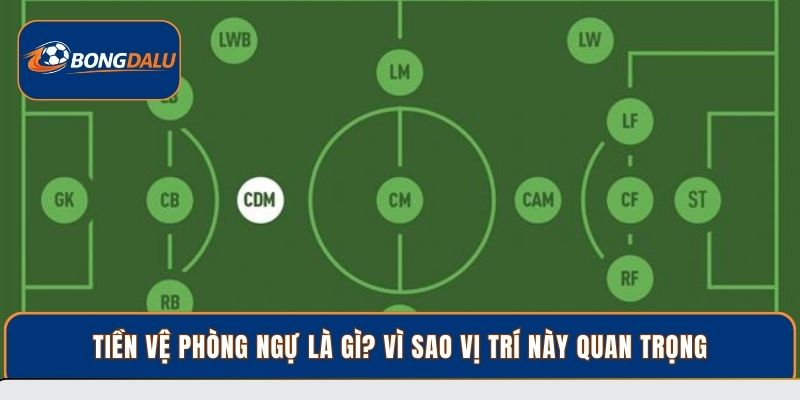 Tiền Vệ Phòng Ngự Là Gì? Vì Sao Đội Bóng Cần Vị Trí Này