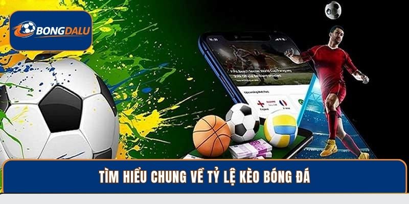 Tìm hiểu chung về tỷ lệ kèo bóng đá