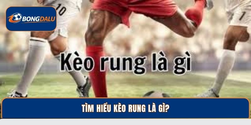 Tìm hiểu kèo rung là gì?