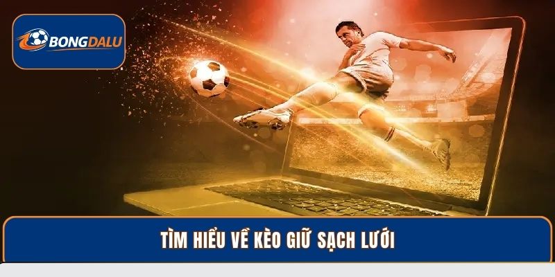 Tìm hiểu về kèo giữ sạch lưới
