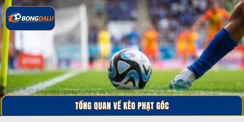 Tổng quan về kèo phạt góc