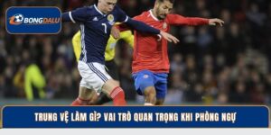 Trung Vệ Là Gì? Vai Trò Và Kỹ Năng Phòng Ngự Quan Trọng